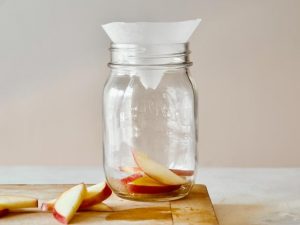 How to Get Rid of Fruit Flies in Your Apartment 3