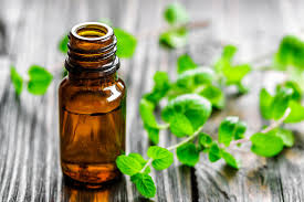 Peppermint Oil for Mice: What You Need to Know 2
